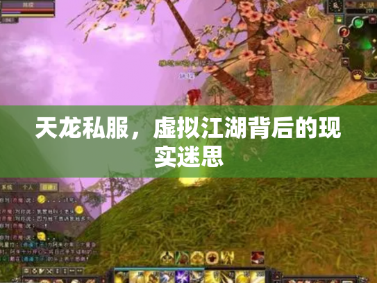 天龙私服，虚拟江湖背后的现实迷思