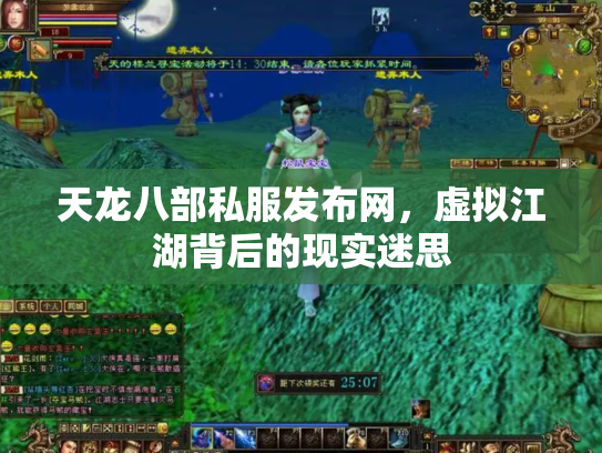 天龙八部私服发布网，虚拟江湖背后的现实迷思