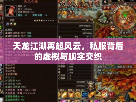 天龙江湖再起风云，私服背后的虚拟与现实交织