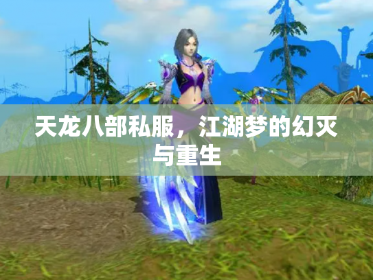 天龙八部私服，江湖梦的幻灭与重生