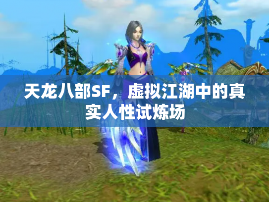 天龙八部SF，虚拟江湖中的真实人性试炼场