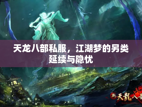 天龙八部私服，江湖梦的另类延续与隐忧