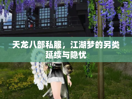 天龙八部私服，江湖梦的另类延续与隐忧