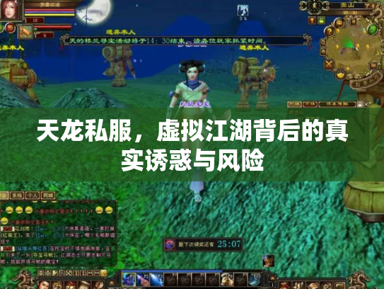 天龙私服，虚拟江湖背后的真实诱惑与风险