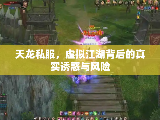 天龙私服，虚拟江湖背后的真实诱惑与风险