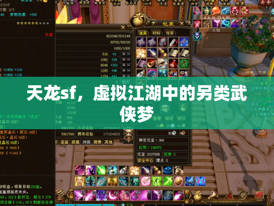 天龙sf，虚拟江湖中的另类武侠梦
