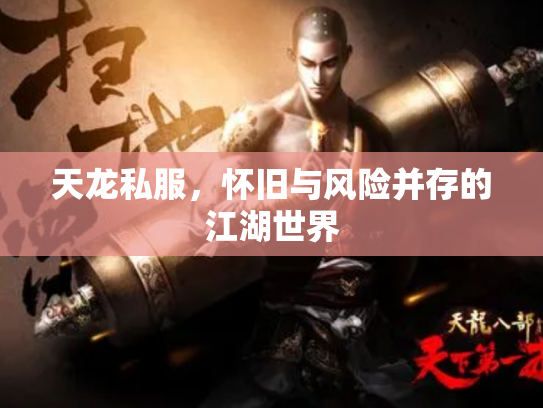 天龙私服，怀旧与风险并存的江湖世界