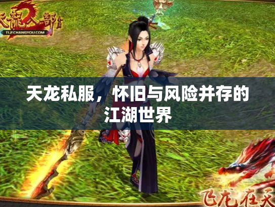 天龙私服，怀旧与风险并存的江湖世界
