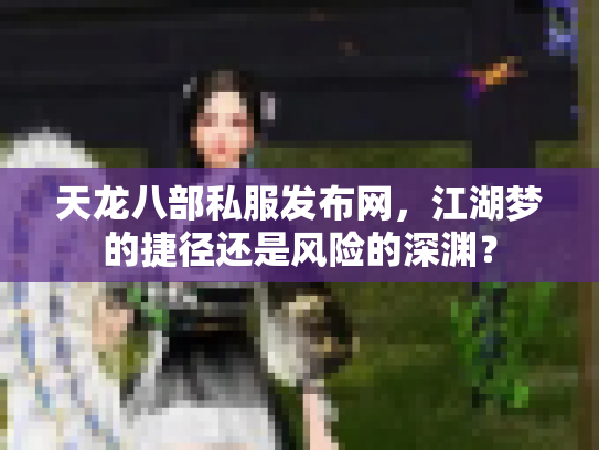 天龙八部私服发布网，江湖梦的捷径还是风险的深渊？