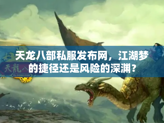 天龙八部私服发布网，江湖梦的捷径还是风险的深渊？