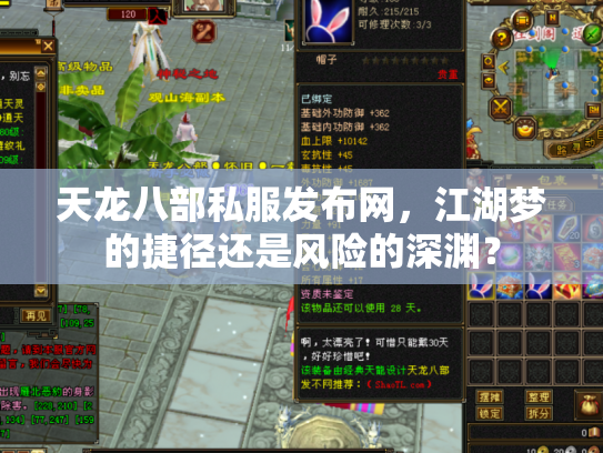 天龙八部私服发布网，江湖梦的捷径还是风险的深渊？