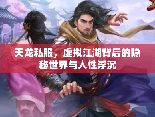 天龙私服，虚拟江湖背后的隐秘世界与人性浮沉