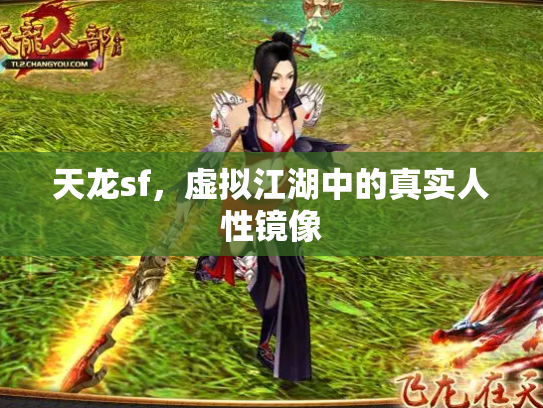 天龙sf，虚拟江湖中的真实人性镜像