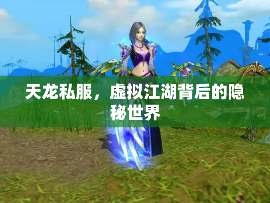天龙私服，虚拟江湖背后的隐秘世界