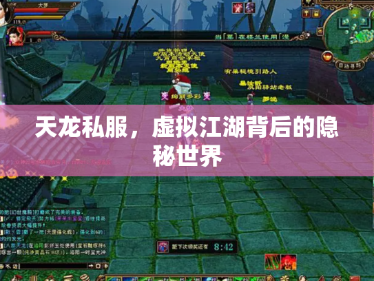 天龙私服，虚拟江湖背后的隐秘世界