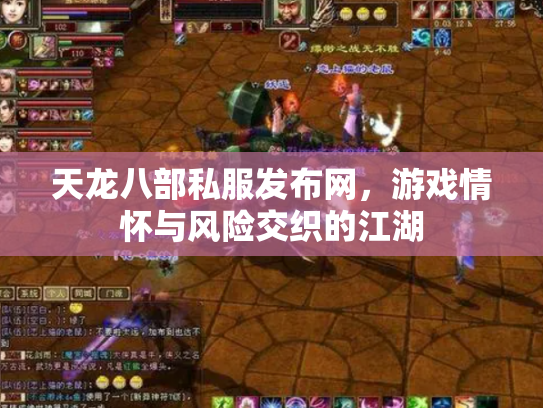 天龙八部私服发布网，游戏情怀与风险交织的江湖