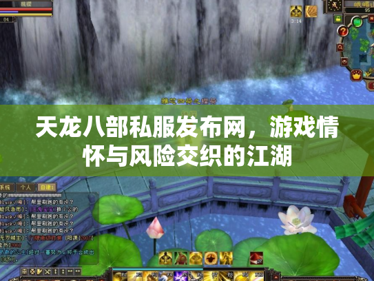 天龙八部私服发布网，游戏情怀与风险交织的江湖