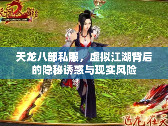 天龙八部私服，虚拟江湖背后的隐秘诱惑与现实风险
