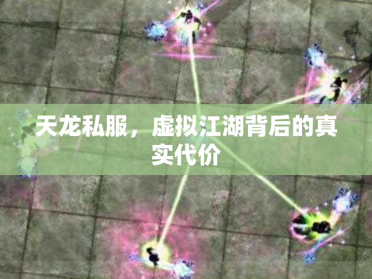天龙私服，虚拟江湖背后的真实代价