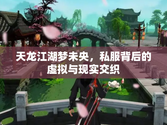 天龙江湖梦未央，私服背后的虚拟与现实交织