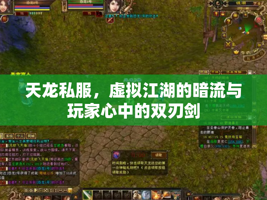 天龙私服，虚拟江湖的暗流与玩家心中的双刃剑