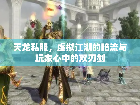 天龙私服，虚拟江湖的暗流与玩家心中的双刃剑