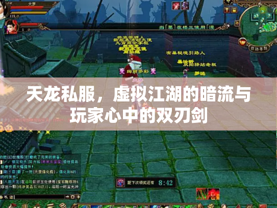 天龙私服，虚拟江湖的暗流与玩家心中的双刃剑