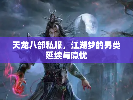 天龙八部私服，江湖梦的另类延续与隐忧