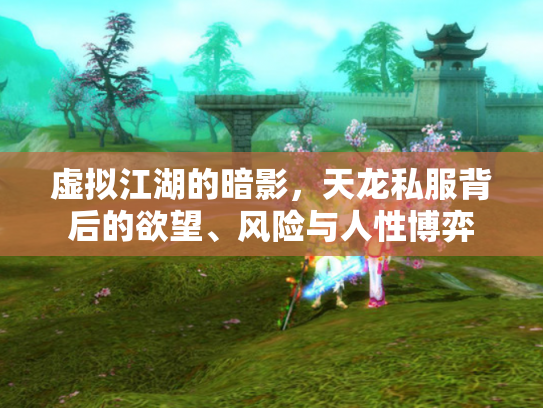 虚拟江湖的暗影，天龙私服背后的欲望、风险与人性博弈