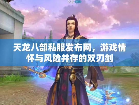 天龙八部私服发布网，游戏情怀与风险并存的双刃剑