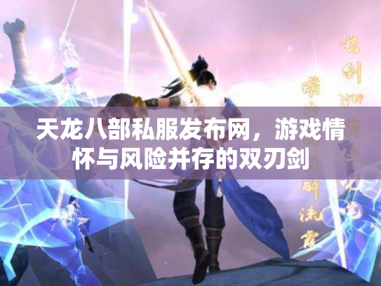 天龙八部私服发布网，游戏情怀与风险并存的双刃剑