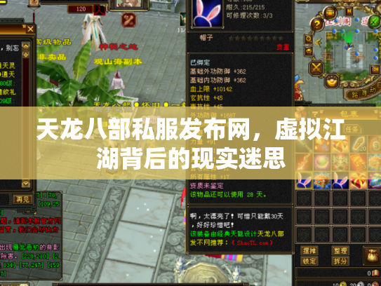 天龙八部私服发布网，虚拟江湖背后的现实迷思