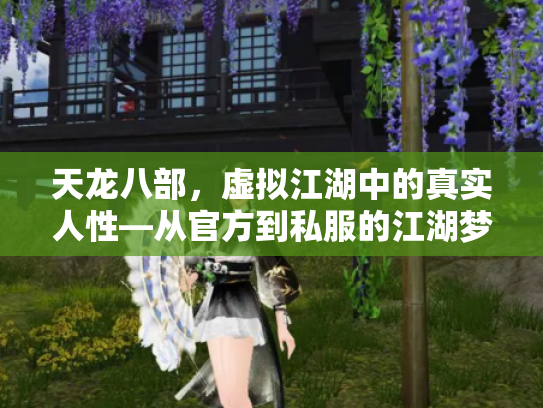 天龙八部，虚拟江湖中的真实人性—从官方到私服的江湖梦