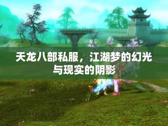 天龙八部私服，江湖梦的幻光与现实的阴影