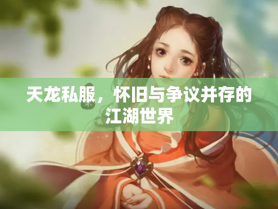 天龙私服，怀旧与争议并存的江湖世界