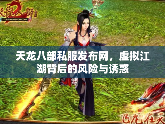 天龙八部私服发布网，虚拟江湖背后的风险与诱惑