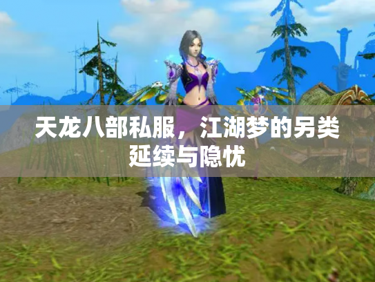 天龙八部私服，江湖梦的另类延续与隐忧