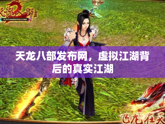 天龙八部发布网，虚拟江湖背后的真实江湖