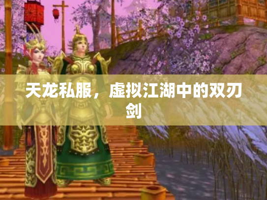 天龙私服，虚拟江湖中的双刃剑