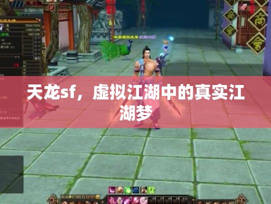天龙sf，虚拟江湖中的真实江湖梦