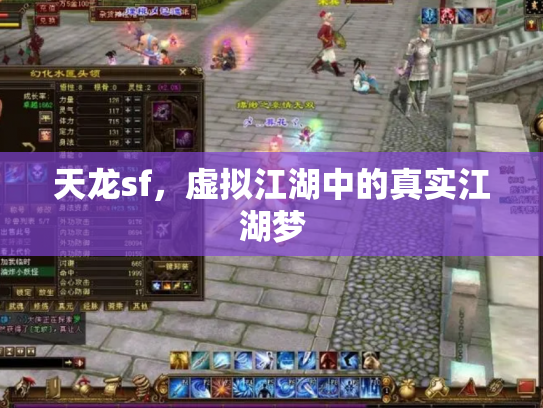 天龙sf，虚拟江湖中的真实江湖梦