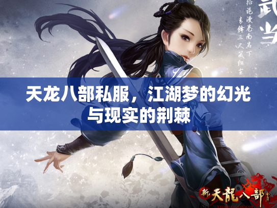 天龙八部私服，江湖梦的幻光与现实的荆棘