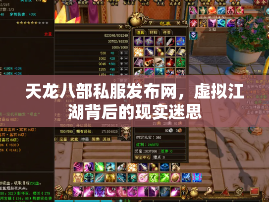 天龙八部私服发布网，虚拟江湖背后的现实迷思
