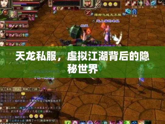 天龙私服，虚拟江湖背后的隐秘世界