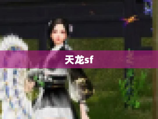 天龙sf