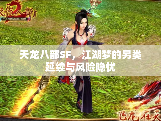 天龙八部SF，江湖梦的另类延续与风险隐忧