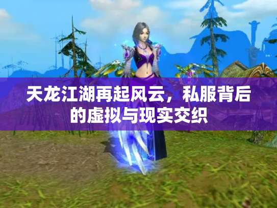 天龙江湖再起风云，私服背后的虚拟与现实交织