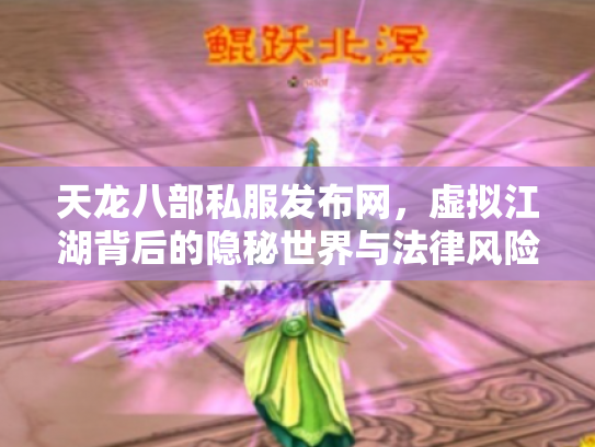 天龙八部私服发布网，虚拟江湖背后的隐秘世界与法律风险