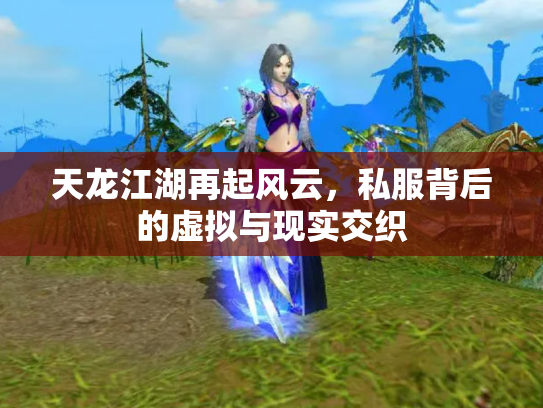 天龙江湖再起风云，私服背后的虚拟与现实交织