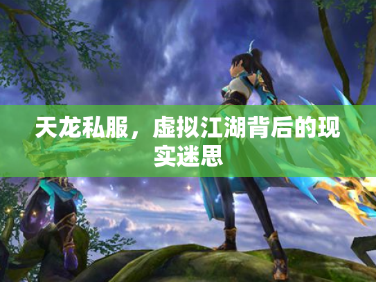 天龙私服，虚拟江湖背后的现实迷思